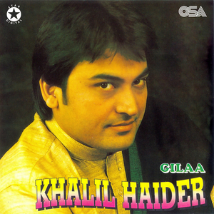 Doston Se Gilaa Nahin