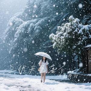 三伏天里落下伤心雪 (Cover 杨月星)