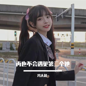 再也不会遇见第二个她