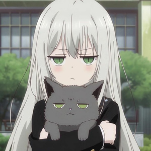 Silent Sakura Nights