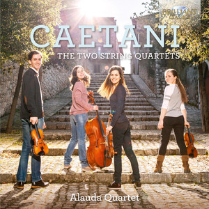 String Quartet No. 2 in F Minor, Op. 12: I. Allegro moderato