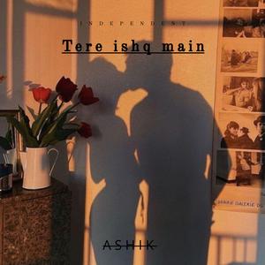 Tere ishq main