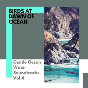 Peaceful Journey of New York Ocean