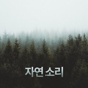 자연 소리 - 편안한 음악