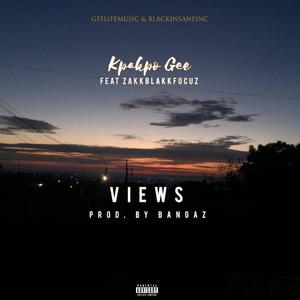 VIEWS (feat. Zakkblakk_focuz)