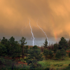 不舍，你是我不愿遗忘的时光，也是我奋不顾身的疯狂