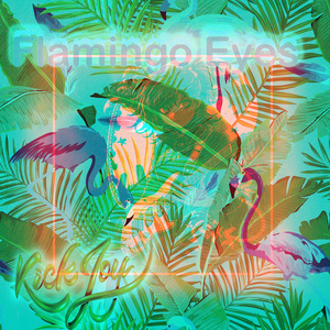 SonicBloom (Funky Birds Version)