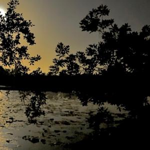 3AM (feat. Micielomikey)