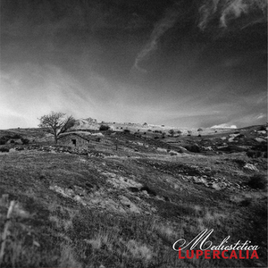 Formis Melara Sanctus Filix