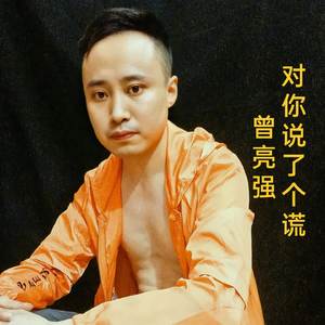对你说了个谎