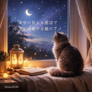 星空を見上げて、猫がそっと瞬きした