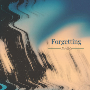 Forgetting