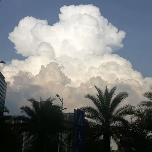 再见，那个会发呆的自己