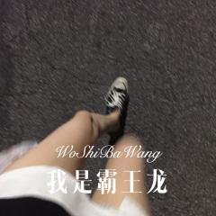 我是霸王龙 (Remix)