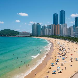 해운대로 오이소!