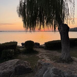 我以为只是降温