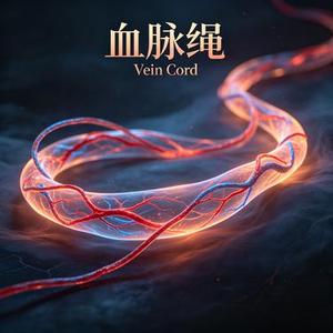 血脉绳 Vein Cord