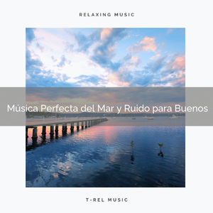 Música Perfecta del Bosque y Ruido de Colores para Escuchar