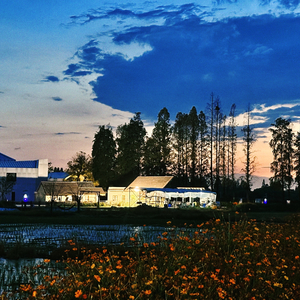 穿过星空拥抱你 QQ 翻唱版.wav