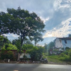 青春与...遗憾？