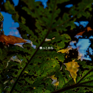 Unique Music for Weekend Upgrades