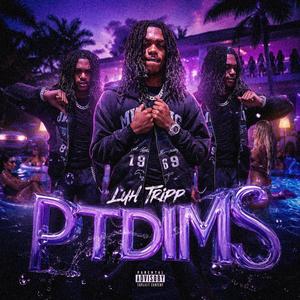 PTDIMS