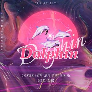 dolphin（翻自 OH MY GIRL）