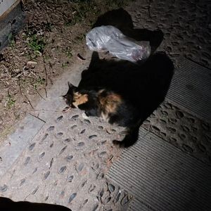 晚自习prod.Moneyxo+pvki