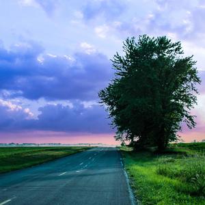 This Road Our Home (feat. Dienda Citasyari)