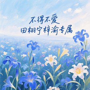 不得不爱（lp专属）