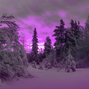 snowdrift