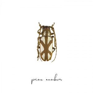 Prime Numbers