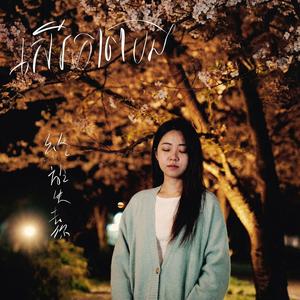 សេរីភាពបង-COVERSONG