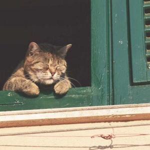 至此流年各天涯