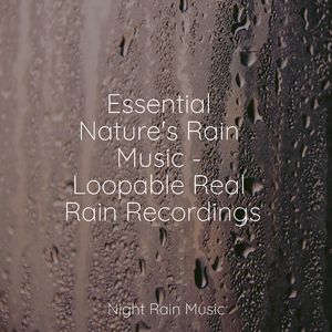 LoFi Rain in the Shed