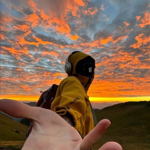 嘴硬的人不说爱