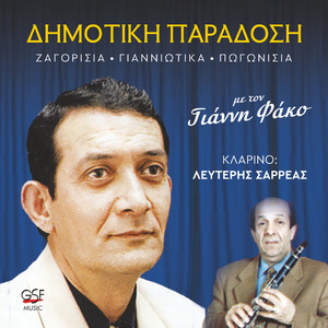 Σιδηροβέργικο κλουβί