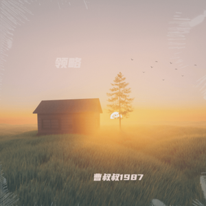 领略