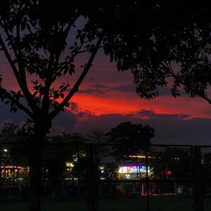 阿拉斯加海湾治愈版