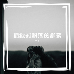 拥抱时飘落的柳絮