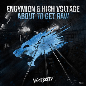 About To Get Raw (Original Mix)