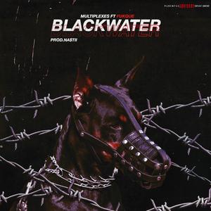 Black Water (feat. Fukque)