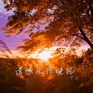 遗憾化作晚风 (Cover 南极星)