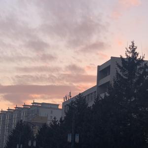 藏在风中的梦想