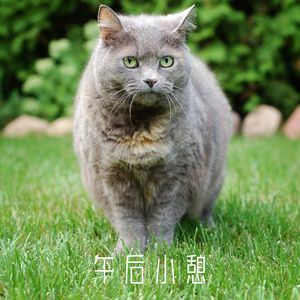 忠诚之歌 (八音盒)