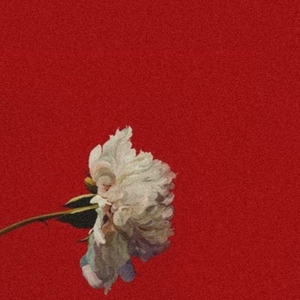 Diplomatic phrasein'