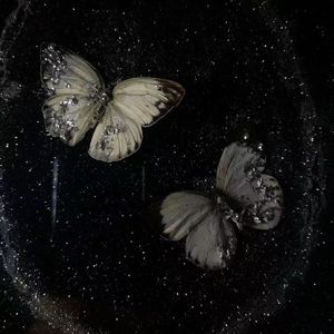 你的名字（吉他版）