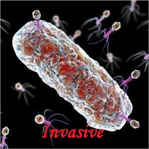 Invasive