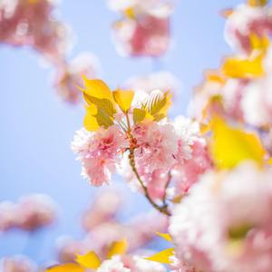 中奖(Prod.by BonLee)