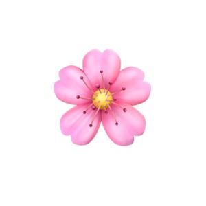 华花花0207生日快乐（华晨宇音源版）